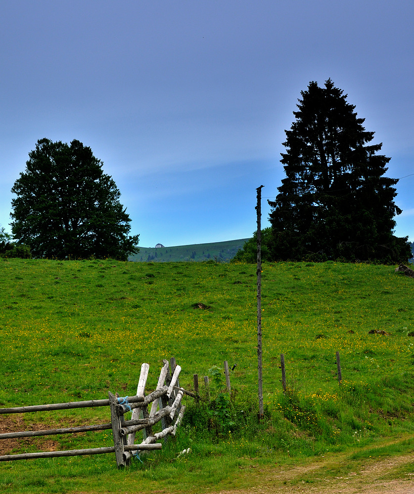 Blick zum Belchenhaus a.d.Rückweg v. Nonnenmattweier Nr.9