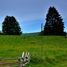 Blick zum Belchenhaus a.d.Rückweg v. Nonnenmattweier Nr.9