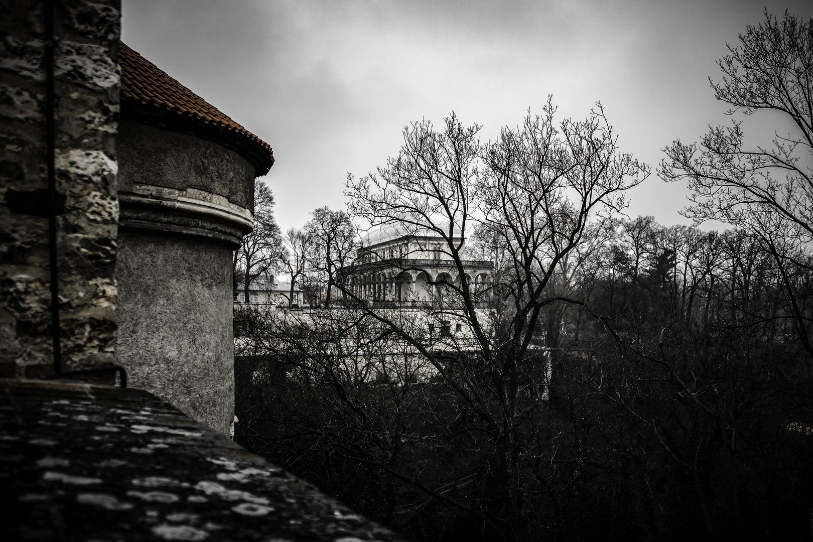 Blick zum Belvedere