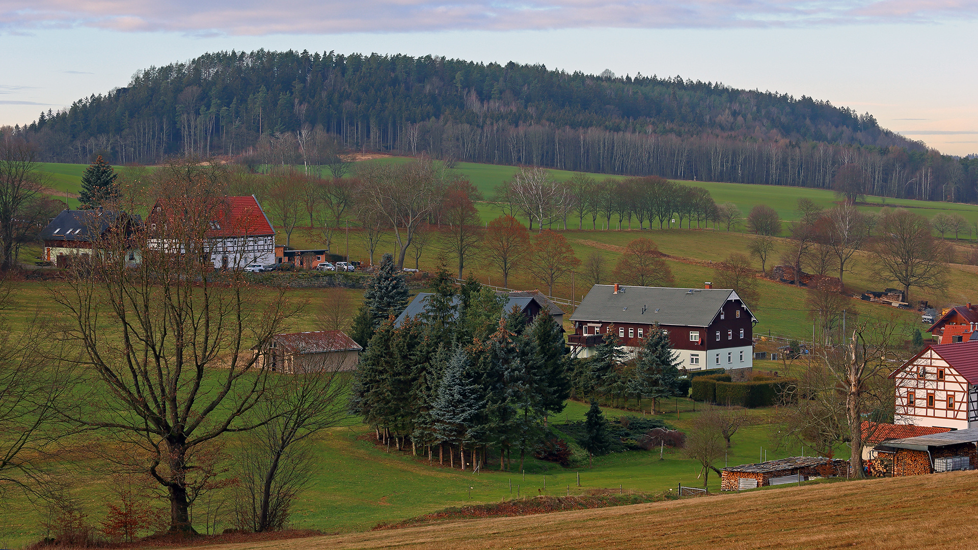 Blick zum Berg Quirl westlich von Pfaffendorf in der Sächsischen Schweiz...