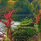 Blick zum Beyenburger Stausee