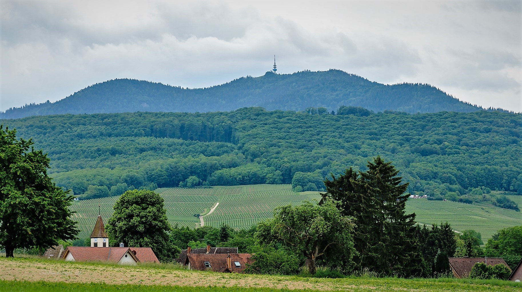 Blick zum Blauen