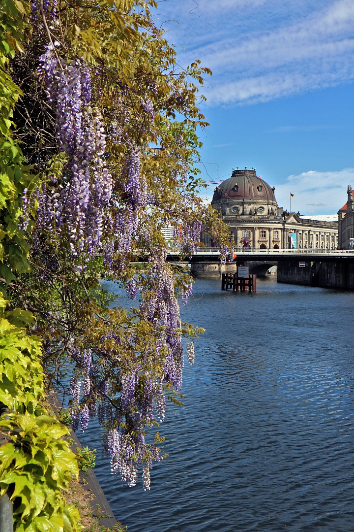 Blick zum Bodemuseum