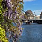 Blick zum Bodemuseum