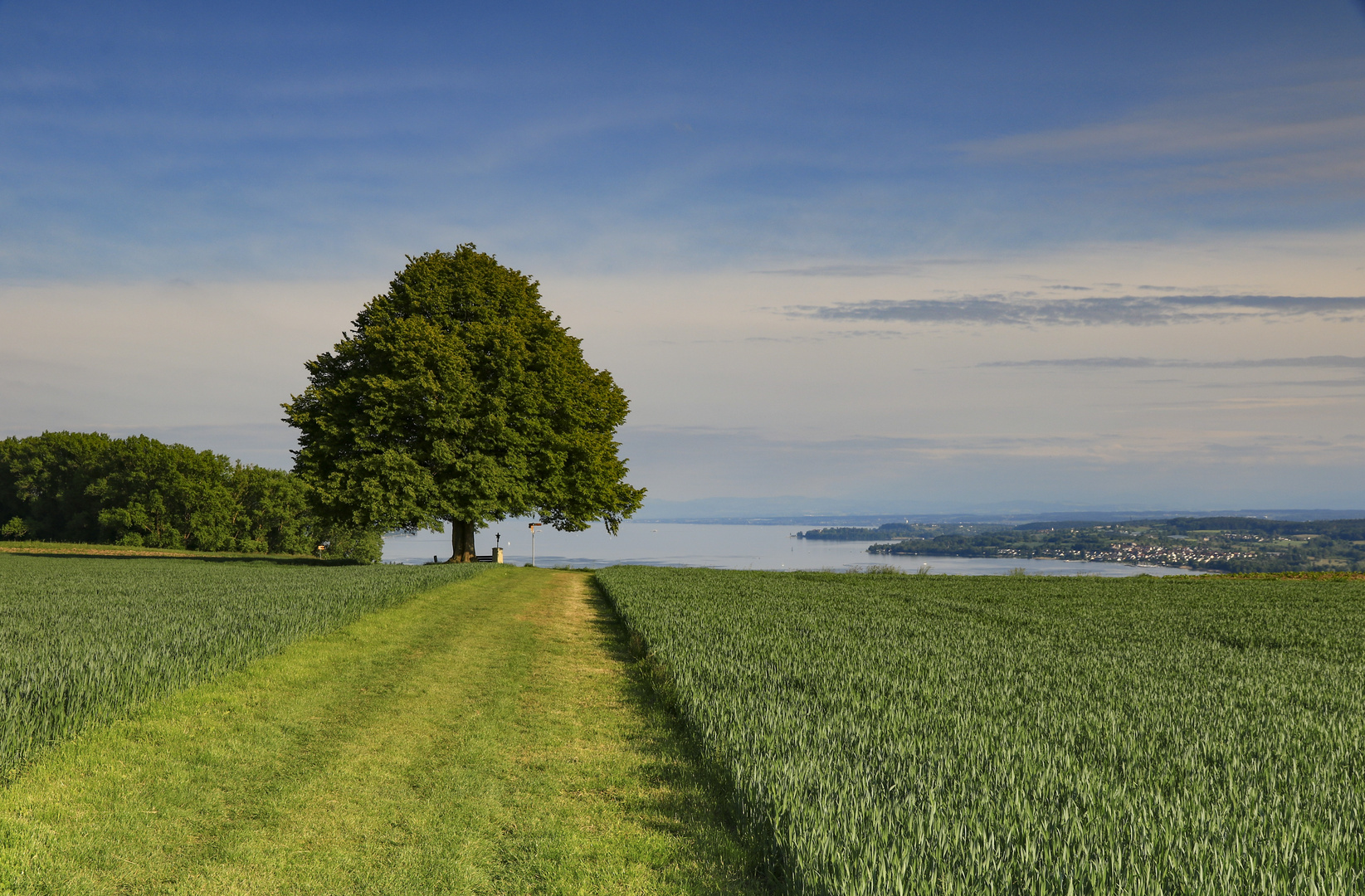 Blick zum Bodensee