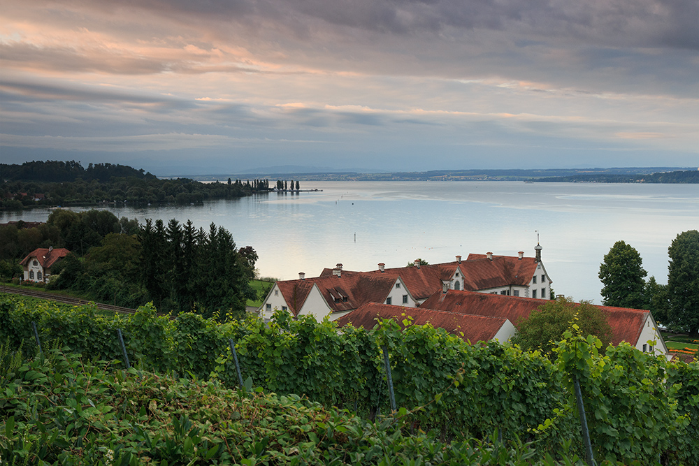 Blick zum Bodensee...