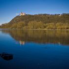 Blick zum Bogenberg