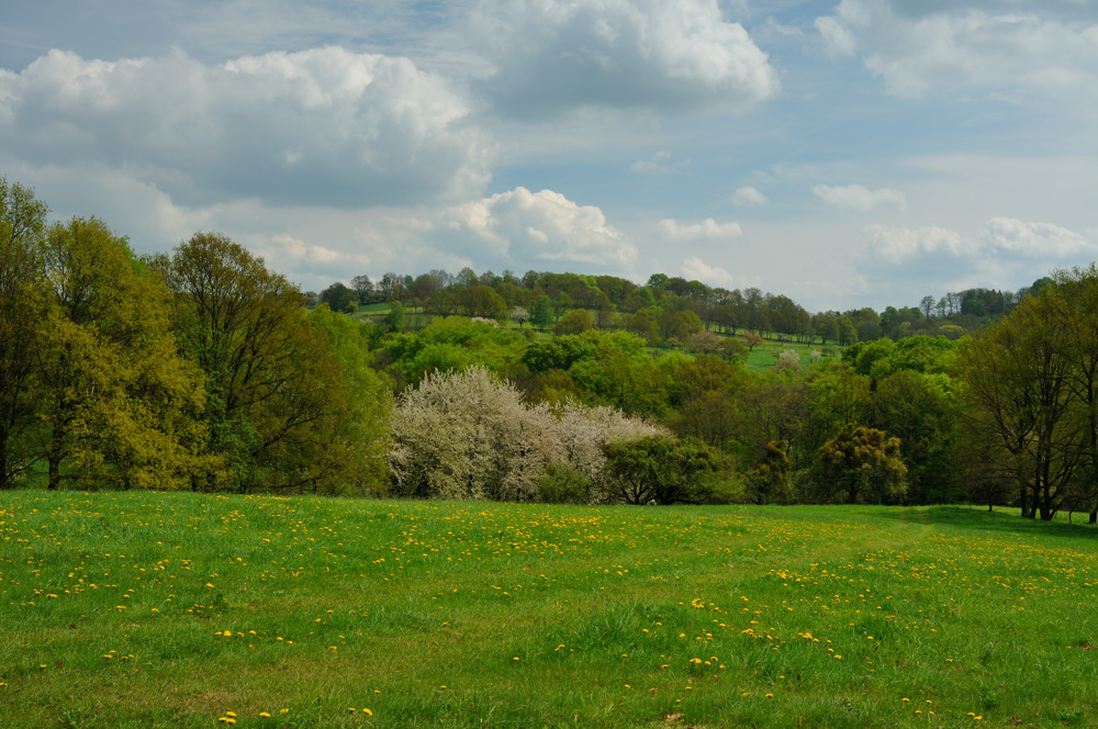 Blick zum Borsberg