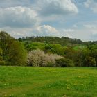 Blick zum Borsberg