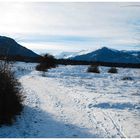 Blick zum Brambrüesch