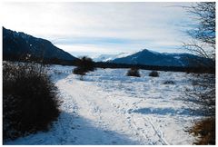 Blick zum Brambrüesch