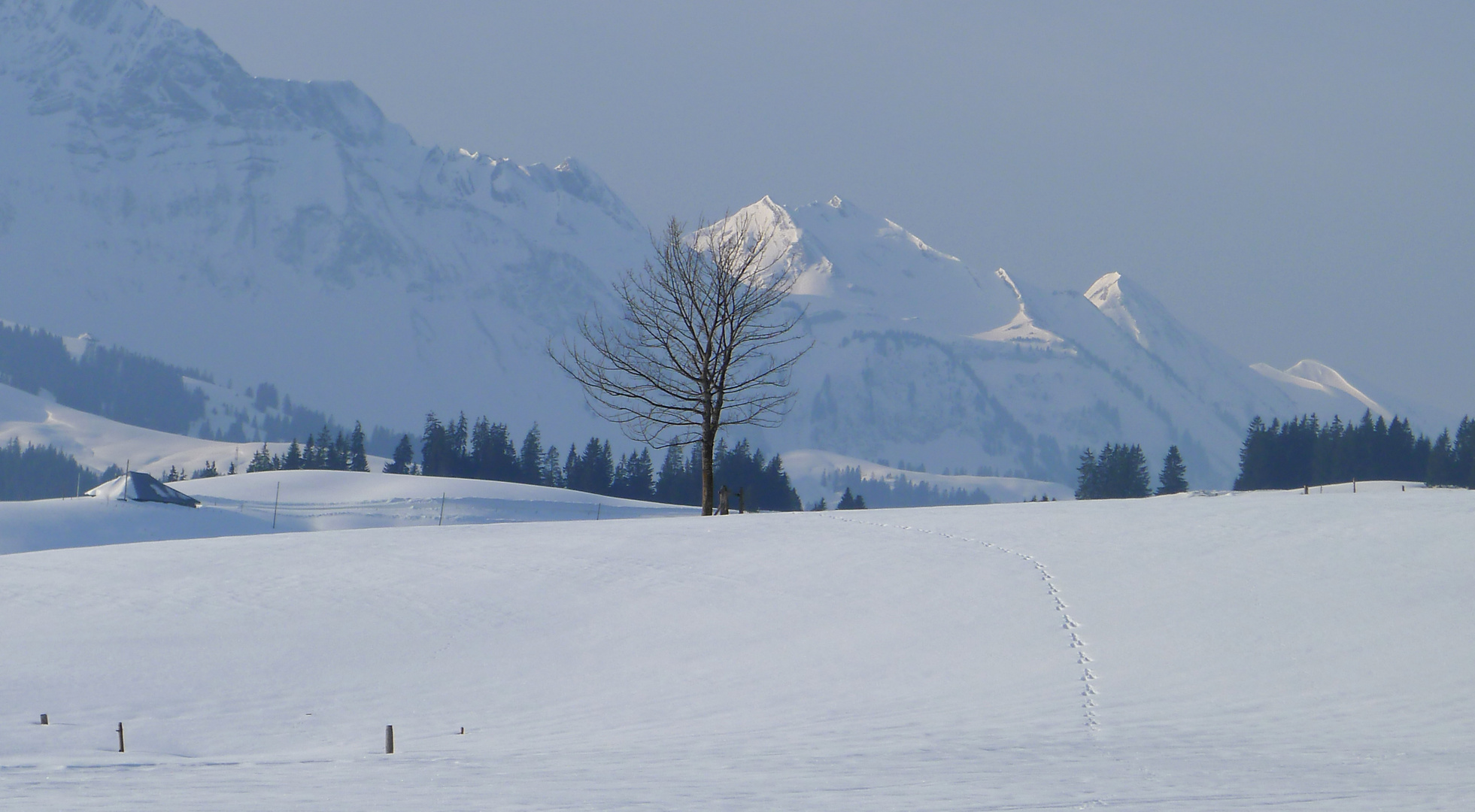 Blick zum Brienzer Grat