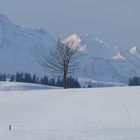 Blick zum Brienzer Grat