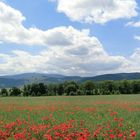 Blick zum Brocken