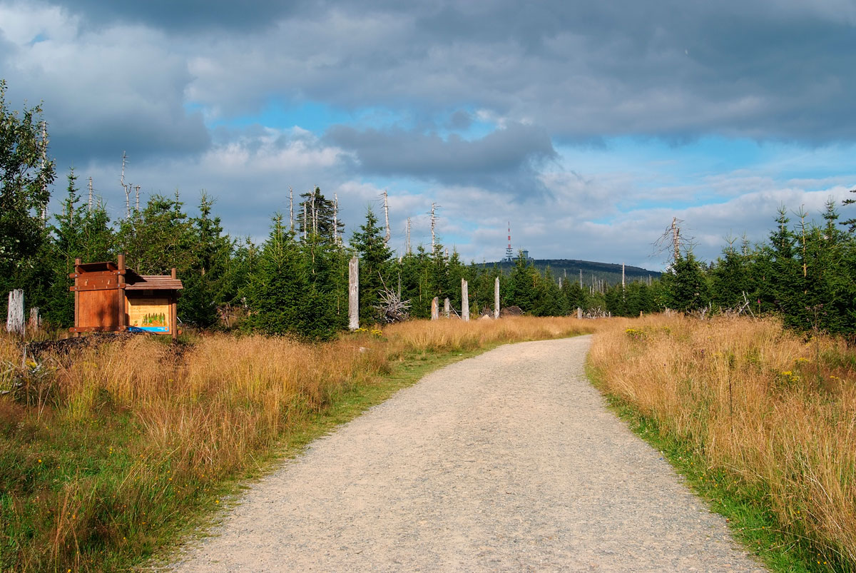 Blick zum Brocken