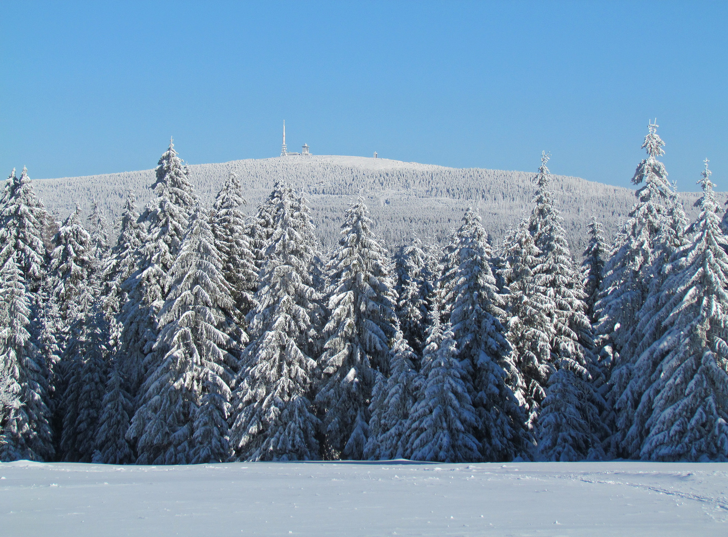 Blick zum Brocken