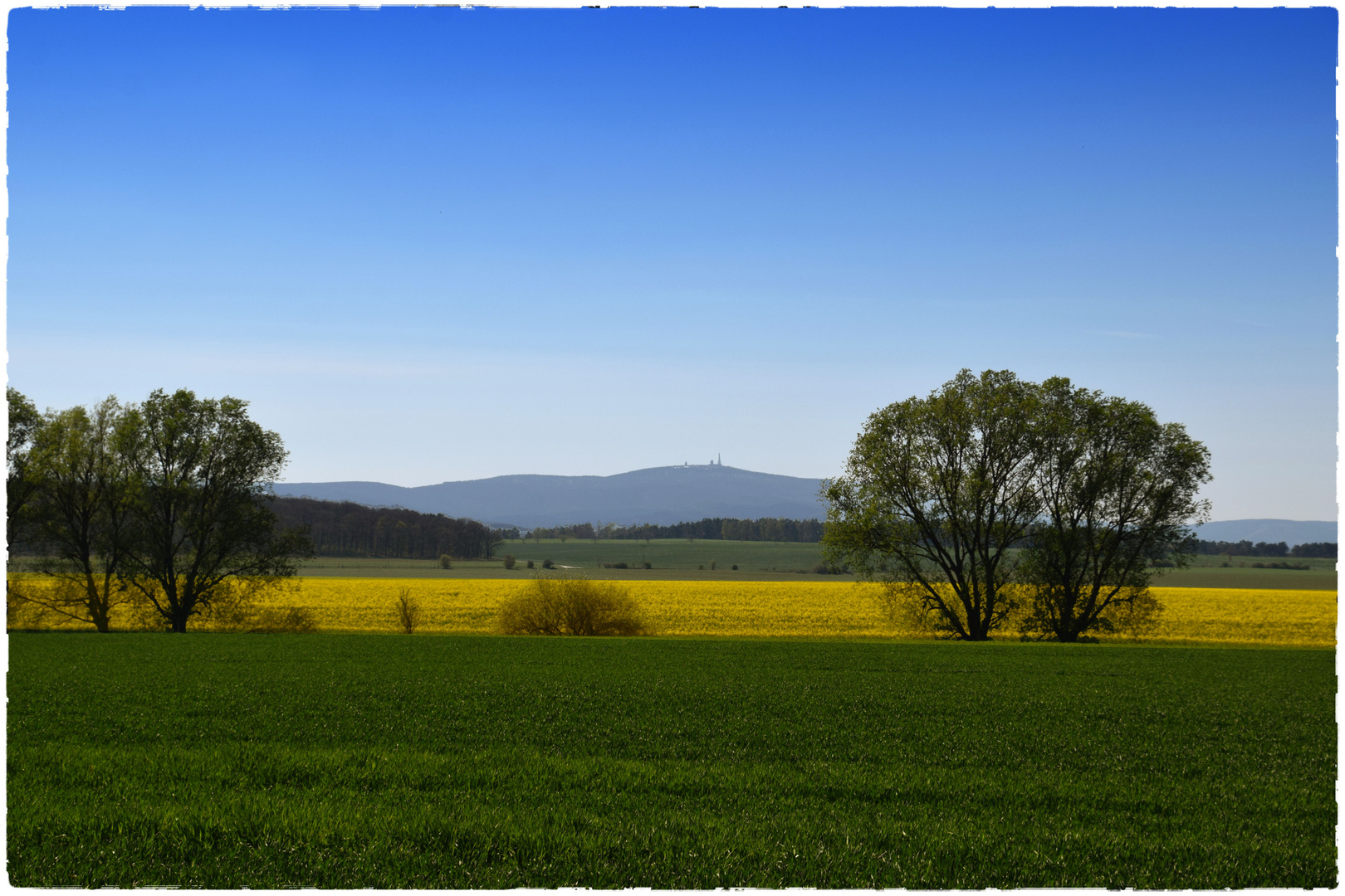 Blick zum Brocken