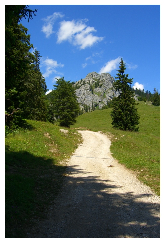 Blick zum Brünnstein