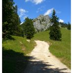 Blick zum Brünnstein