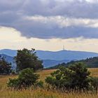 "Blick zum "Bukova hora" dem bekannten böhmischen Funkturm rechts der Elbe...