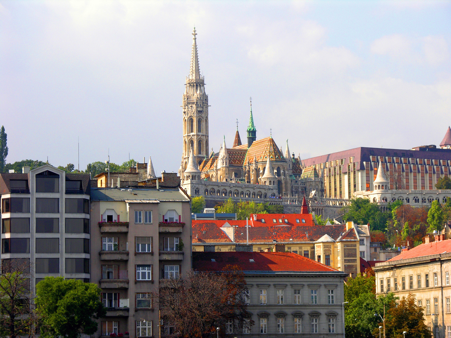 Blick zum Burgberg