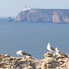 Blick zum Cabo de São Vicente