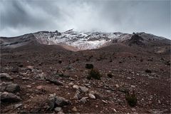 Blick zum Chimborazo