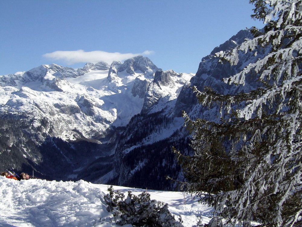 Blick zum Dachstein