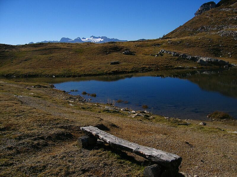 Blick zum Dachstein