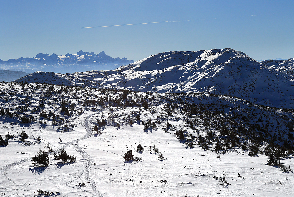 Blick zum Dachstein