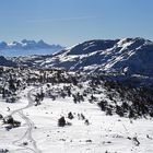 Blick zum Dachstein