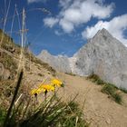 Blick zum Dachstein - Auf dem Weg zur Sulzenschneid Filzmoos