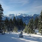 Blick zum Dachstein