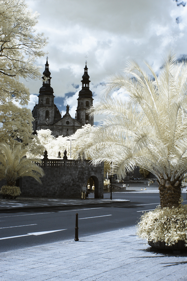 Blick zum Dom St. Salvator