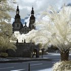 Blick zum Dom St. Salvator