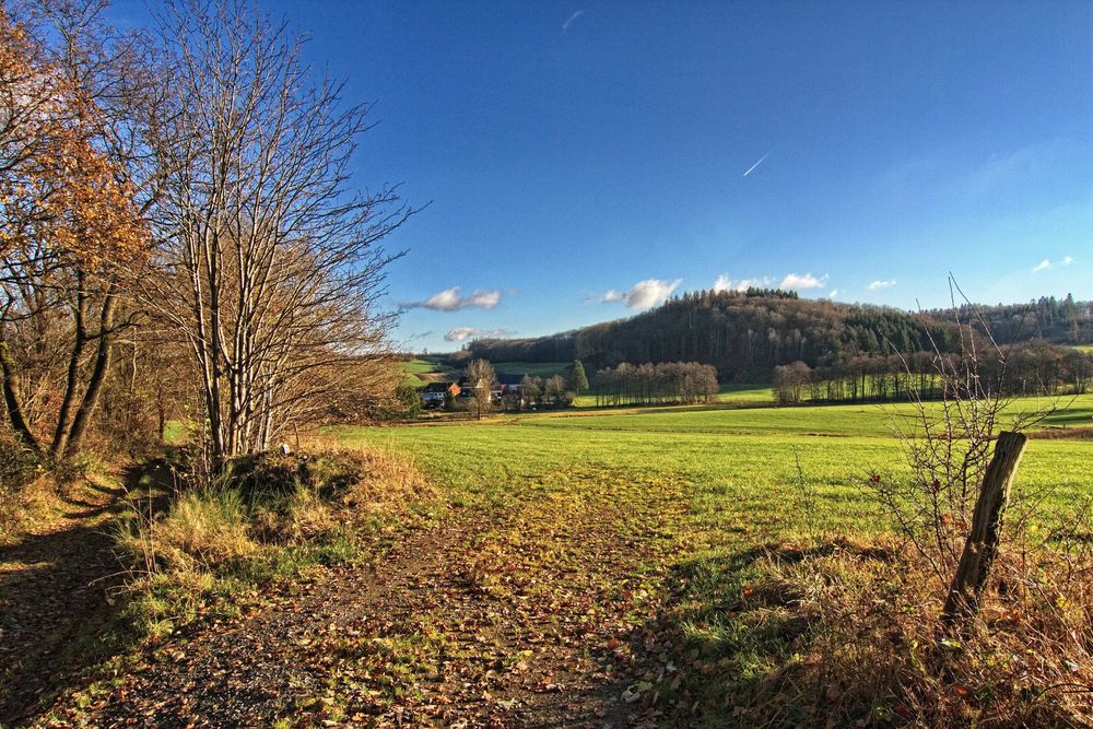 Blick zum Dorf Wehe