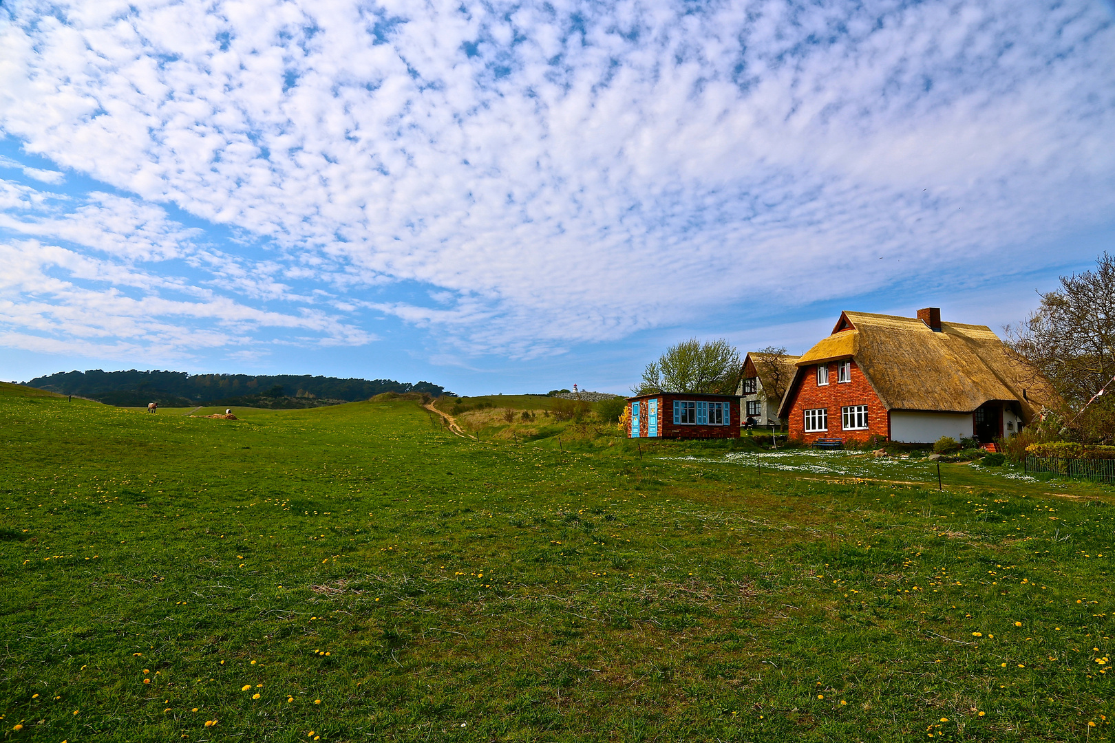 Blick zum Dornbusch