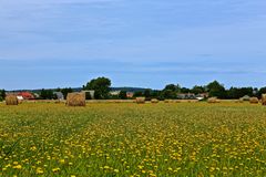 Blick zum Dornbusch