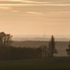 Blick zum Dresdner Fernsehturm von Hauswalde