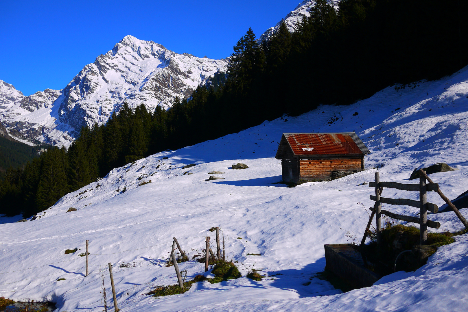 blick zum Düssistock