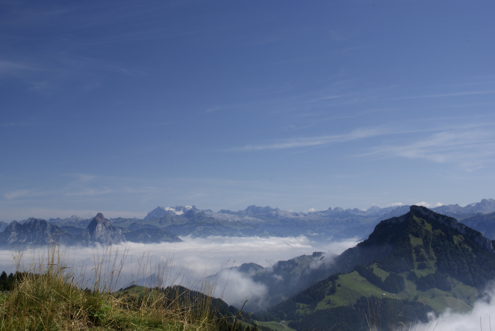 Blick zum Eiger