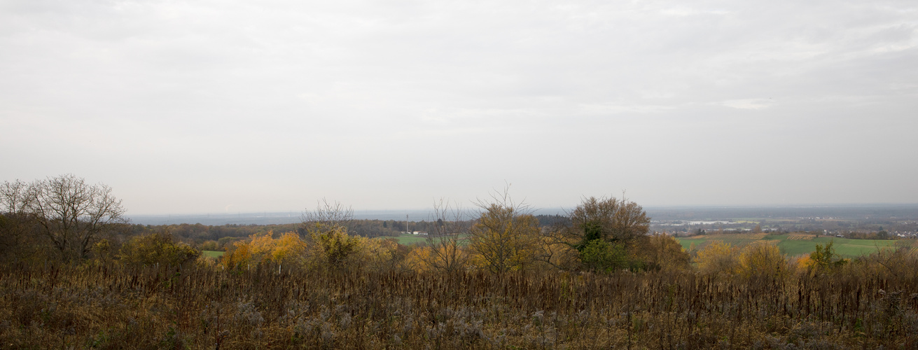 Blick zum Eisengrubenwald