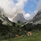 Blick zum Ellmauer Tor (2019_08_30_5866_ji)