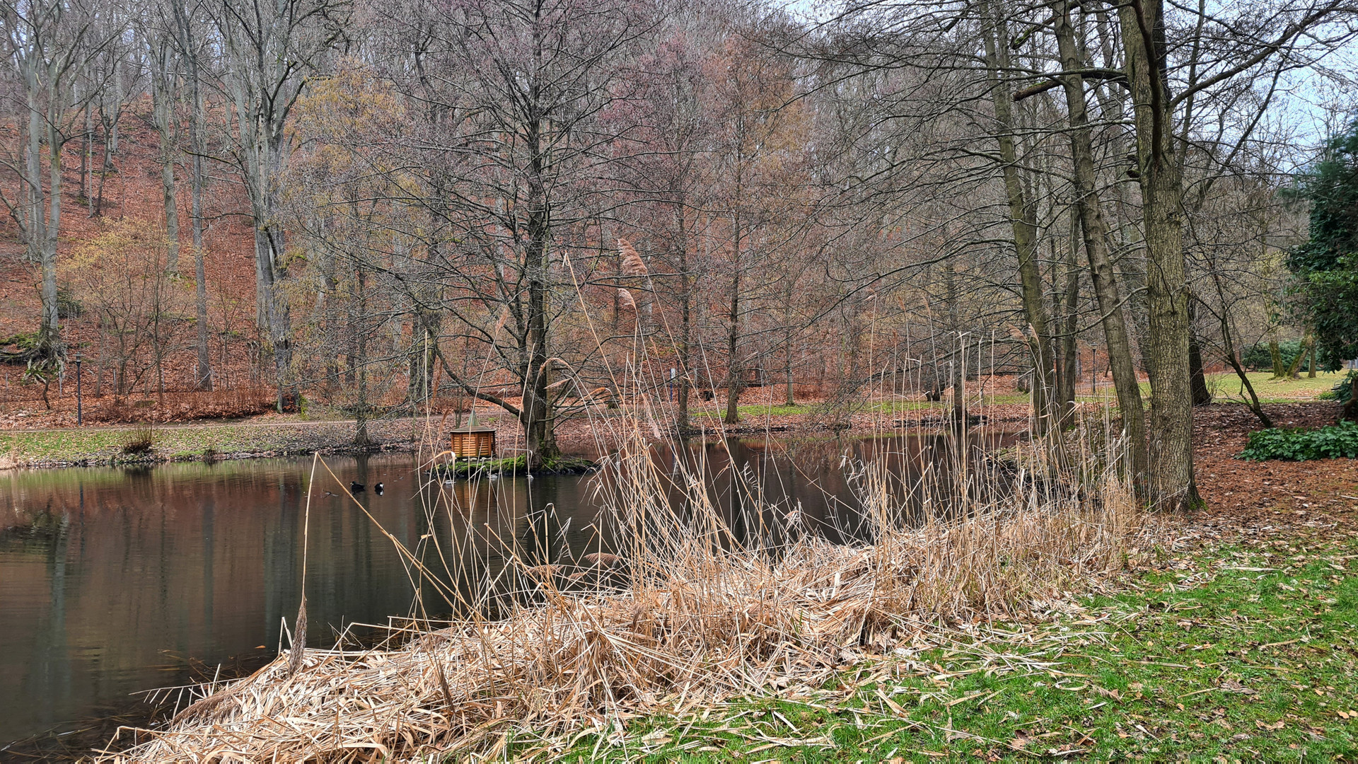 Blick zum Entenhaus