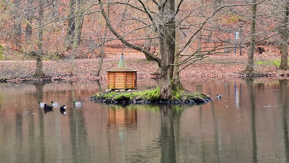 Blick zum Entenhaus