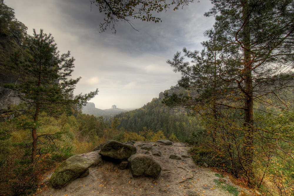 Blick zum Falkenstein