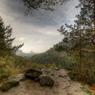 Blick zum Falkenstein