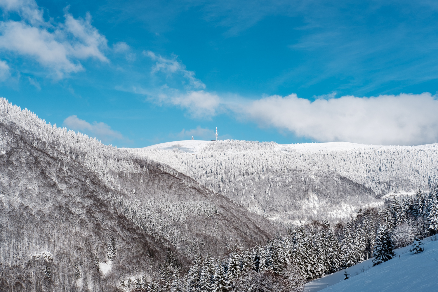 Blick zum Feldberg