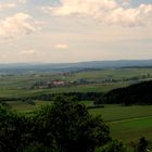 Blick zum Feldberg