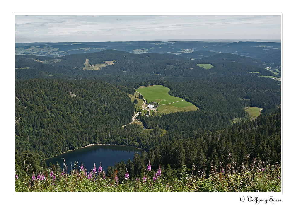 Blick zum Feldsee und Richtung Hinterzarten/Schwarzwald